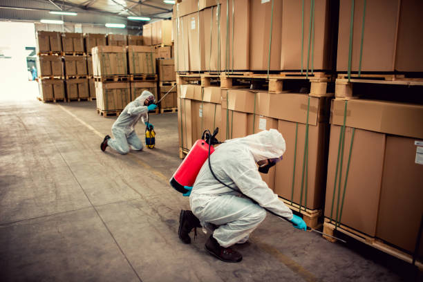 Best Termite Control Services  in Sedro Woolley, WA