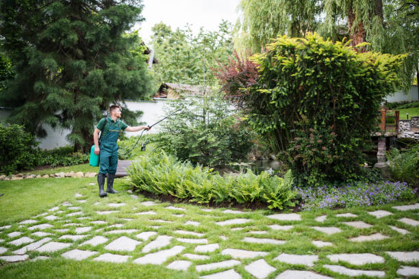 Professional Pest Control in Sedro Woolley, WA